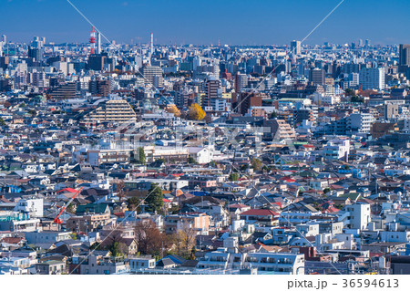 《東京都》爽やかな朝の住宅街 《東京都》爽やかな朝の住宅街 36594613