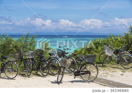 サイクリング(ニシ浜) サイクリング(ニシ浜) 36596880