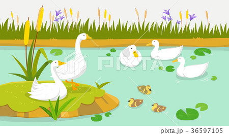 Peaceful wild animals, RF illustration 009 36597105