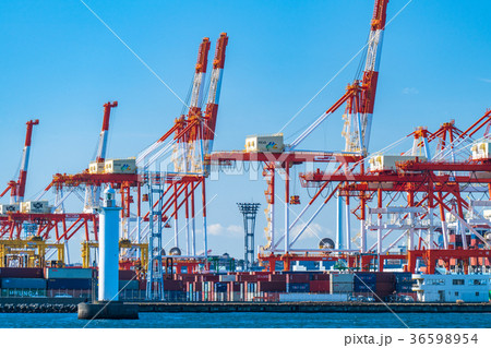 横浜港・ガントリークレーン 36598954