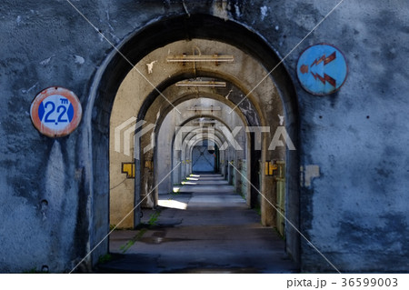 東京電力西大滝ダム（天端） 36599003