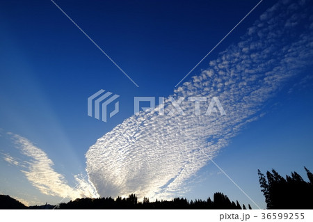 ひつじ雲 36599255