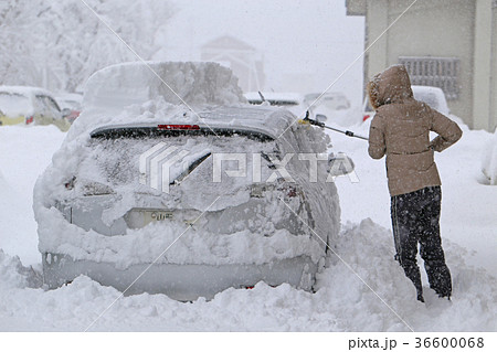自動車の除雪 自動車の除雪 36600068