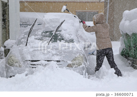 自動車の除雪 36600071