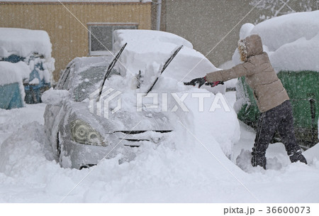 自動車の除雪 自動車の除雪 36600073