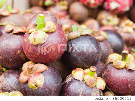 Tropical Fruit,Mangostee; Queen of fruit 36600215