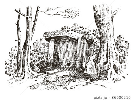 ancient cave. prehistoric house of wood or stone 36600216