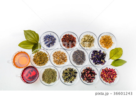 色々な色のなハーブティー Beautiful color herbal tea 色々な色のなハーブティー Beautiful color herbal tea 36601243