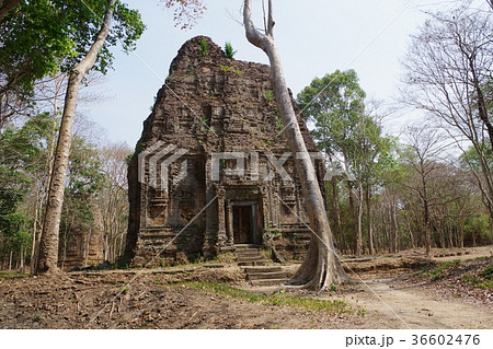 カンボジアの世界遺産　サンボープレイクックの遺跡 36602476