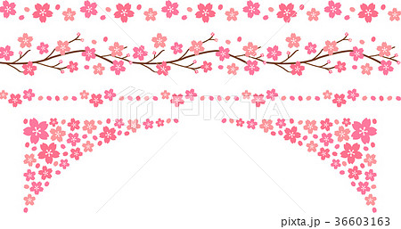 桜の飾り線のイラスト素材 36603163 Pixta