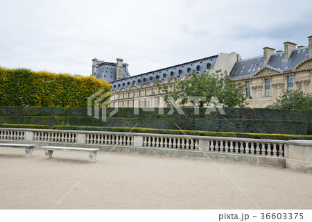 フランス　パリ街並み 36603375
