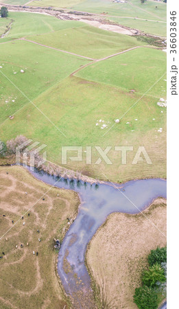 Farming field in Tasmania, Australia Farming field in Tasmania, Australia 36603846