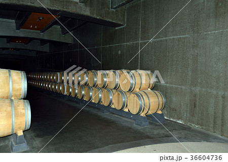 スペイン ビルバオ ワイナリー スペイン ビルバオ ワイナリー 36604736