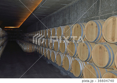 スペイン ビルバオ ワイナリー スペイン ビルバオ ワイナリー 36604740