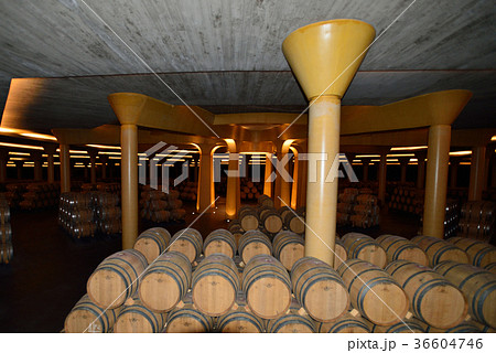 スペイン　ビルバオ　ワイナリー 36604746
