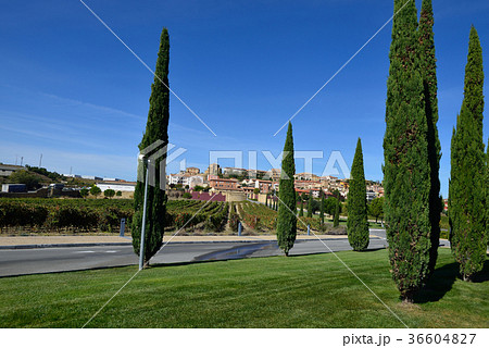 スペイン ビルバオ ワイナリー スペイン ビルバオ ワイナリー 36604827