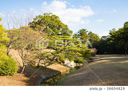 栗林公園　日本庭園 36604829