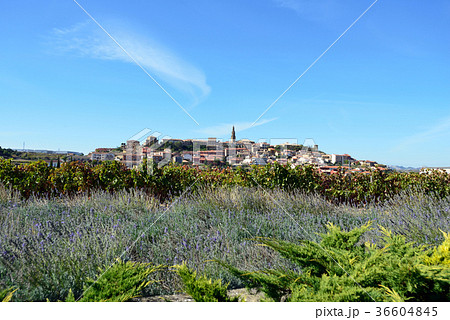 スペイン ビルバオ ワイナリー スペイン ビルバオ ワイナリー 36604845