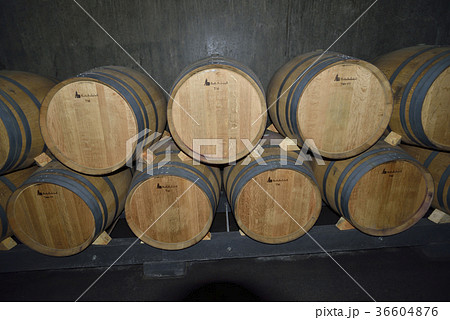 スペイン ビルバオ ワイナリー スペイン ビルバオ ワイナリー 36604876