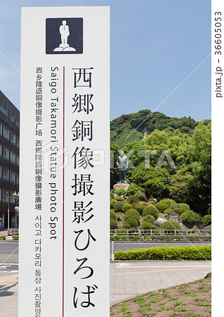 西郷像像撮影ひろば -鹿児島市- 36605053