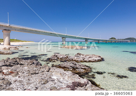 角島大橋 -エメラルドグリーンの海にかかる橋・山口県の絶景スポット- 角島大橋 -エメラルドグリーンの海にかかる橋・山口県の絶景スポット- 36605063