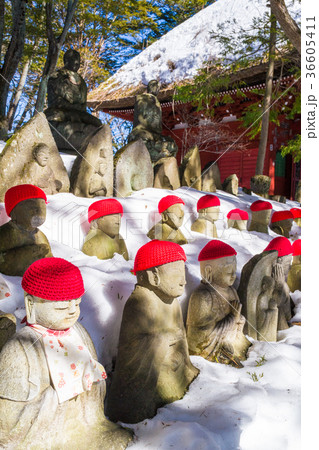 雪をかぶったお地蔵さまの写真素材 36605411 Pixta