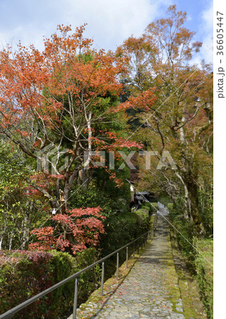 建礼門院徳子大原西陵 建礼門院徳子大原西陵 36605447