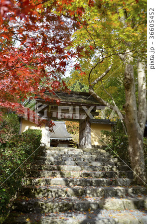 寂光院　山門 36605452