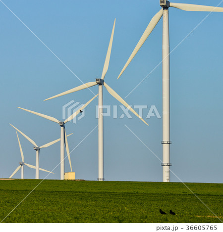 Windmills for electric power production blue sky 36605765