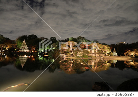 六義園 六義園 36605837