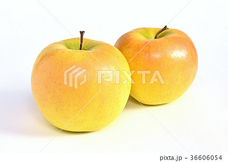 リンゴ（こうこう） 36606054