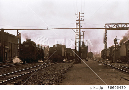 昭和44年　D51と9600蒸気機関車　長万部　北海道函館本線 36606430