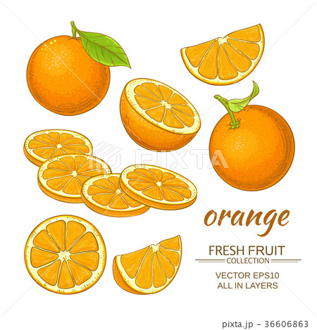 orange vector set 36606863