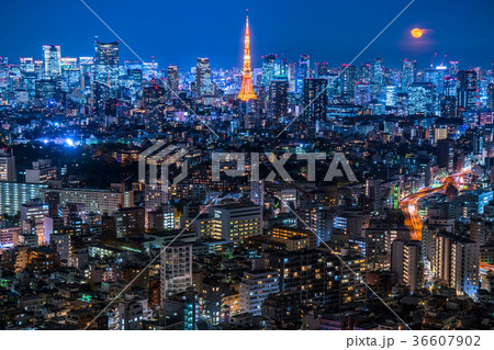 月光りの東京夜景 36607902
