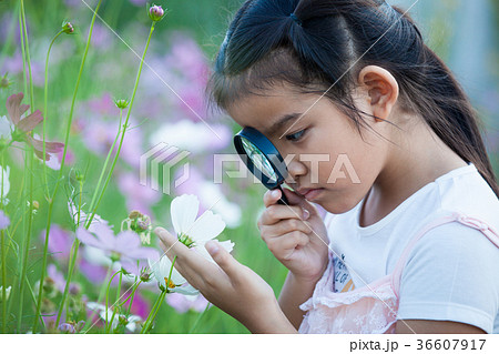 Cute asian child girl looking beautiful flower 36607917