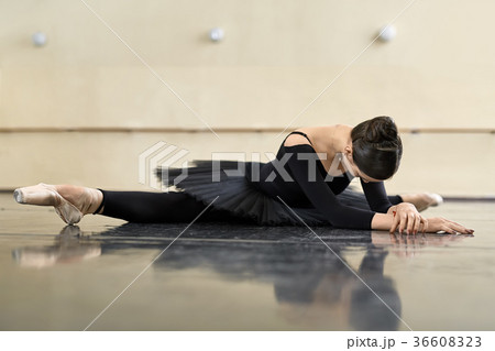 Ballerina posing in dance hall 36608323