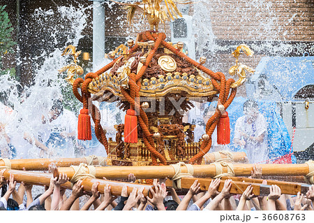 富岡八幡宮例大祭神輿 富岡八幡宮例大祭神輿 36608763