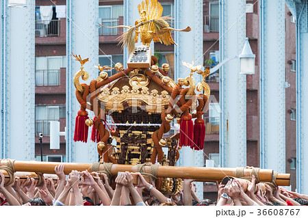 富岡八幡宮例大祭　神輿 36608767