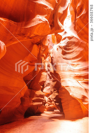 Red Rocks of Antelope Canyon 36608768