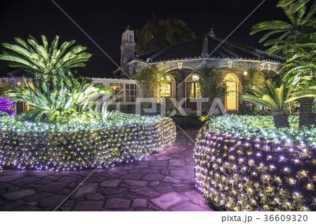 グラバー園のクリスマス 36609320
