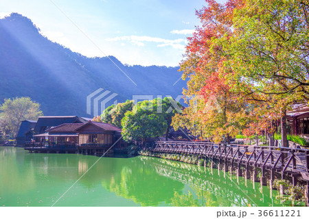 landscape of checheng, nantou, taiwan landscape of checheng, nantou, taiwan 36611221