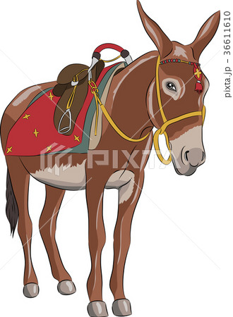 Vector. A donkey with a saddle. 36611610