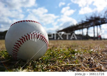太陽を浴びるボールの写真素材