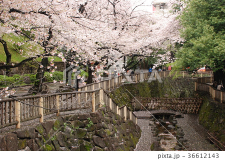 音無親水公園 音無親水公園 36612143
