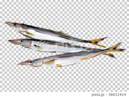 Camas Camas 36612424