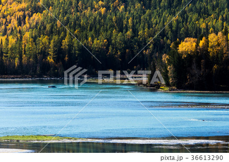 View of river at Immortal bay in Kanas lake View of river at Immortal bay in Kanas lake 36613290