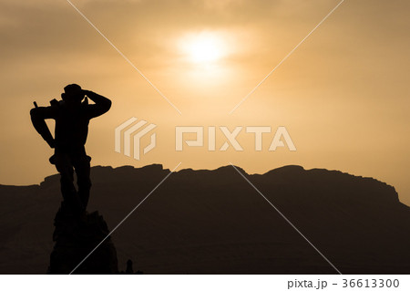 Silhouette of Wukong the monkey king statue 36613300