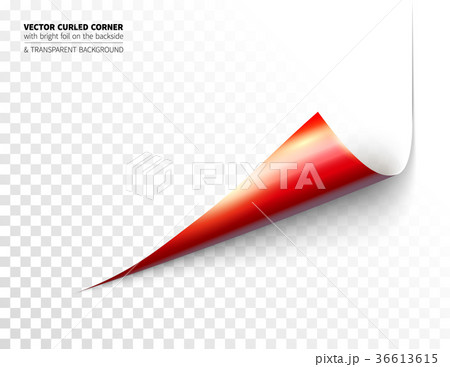 Vector realistic curled corner 36613615