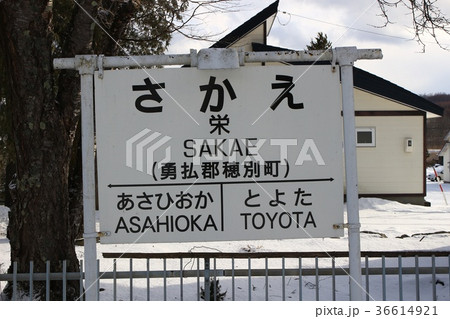 駅名標・さかえ（富内銀河ステーション） 36614921
