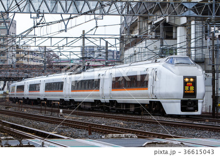 JR東日本　651系　特急草津 36615043